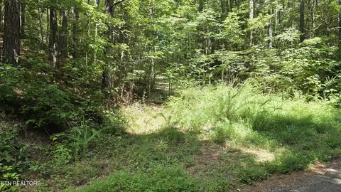 0 County Rd, Athens, TN 37303