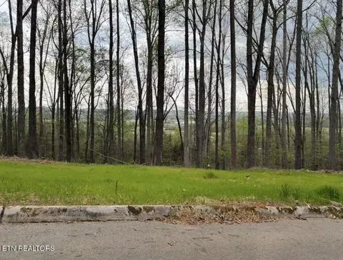 0 Lot 10 Poplar Dr, Sweetwater, TN 37874