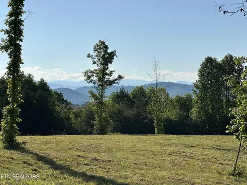 0 Lot 7 Curtis Rd, Tellico Plains, TN 37385