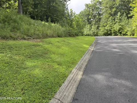 0 Cove Springs Dr, Dandridge, TN 37725