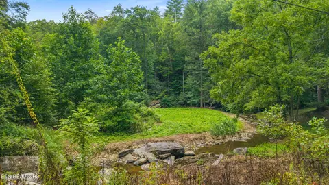 0 Cane Creek Mtn Rd, Tellico Plains, TN 37385