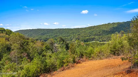 1776 Fairview Rd, Tellico Plains, TN 37385