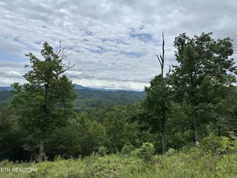0 Misty Bluff Trail Tr, Sevierville, TN 37862