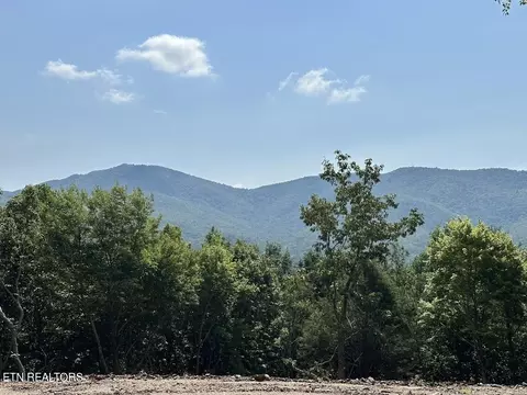 386 Harold Witt Rd, Tellico Plains, TN 37385