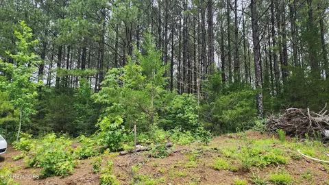 0 County Road 184, Athens, TN 37303