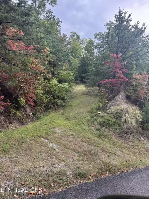 0 Enclave Park Way, Sevierville, TN 37862