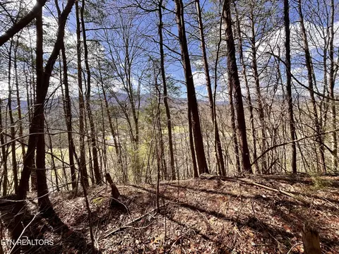 0 Castle Rd, Gatlinburg, TN 37738