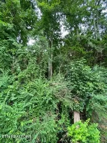 0 County Road 351, Sweetwater, TN 37874