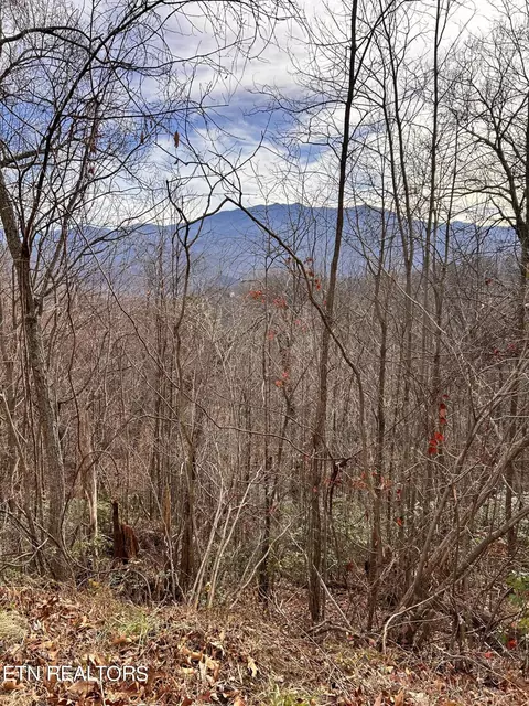 0 Upper Alpine Way #LOT 3, Gatlinburg, TN 37738
