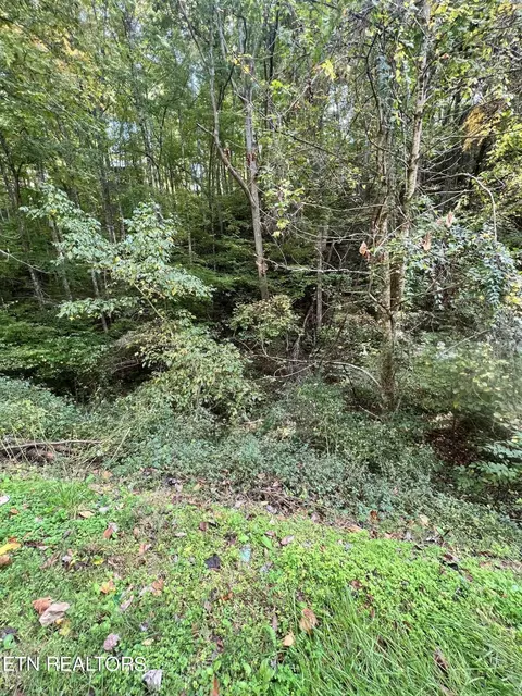 707 School House Gap Rd, Sevierville, TN 37876