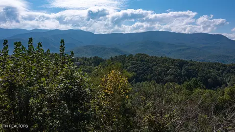 920 Old Field Ridge Way, Gatlinburg, TN 37738