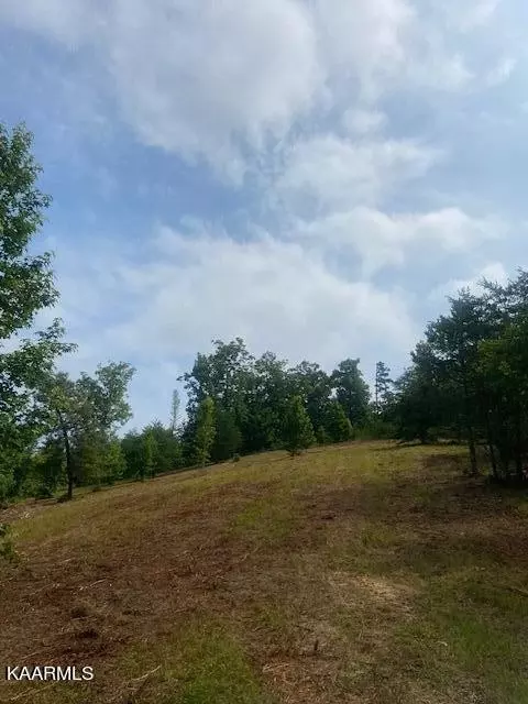 0 Huff Bend Land, Ten Mile, TN 37880