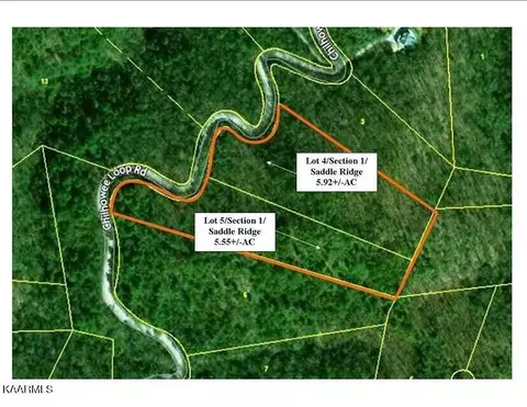 2225 Chilhowee Loop Rd, Walland, TN 37886 photo 3