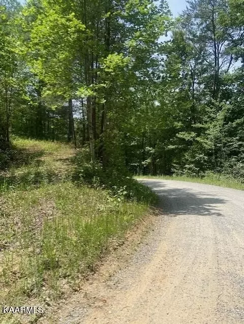 2225 Chilhowee Loop Rd, Walland, TN 37886 photo 1