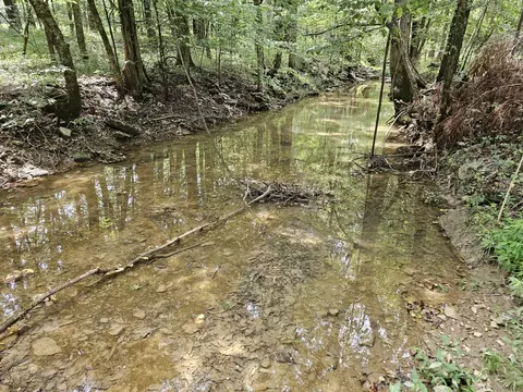 0 Whitfield Hollow Rd, Readyville, TN 37149