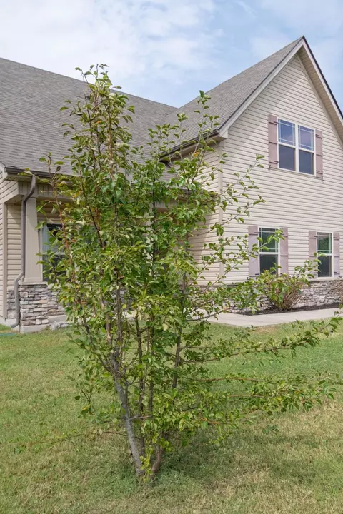 Exterior - 1504 Halverson Dr, Murfreesboro, TN 37128 photo 9 of 9