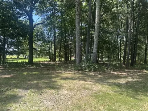 Exterior - 3687 Blue Spring Rd, Decherd, TN 37324 photo 13 of 14