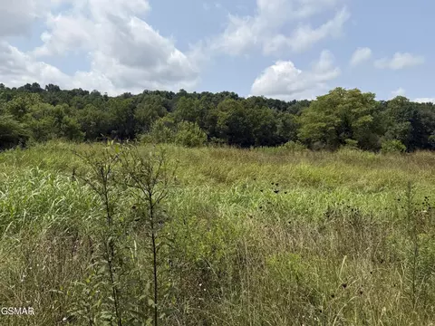 245 Cherokee Explosive Rd, Rutledge, TN 37861 photo 14