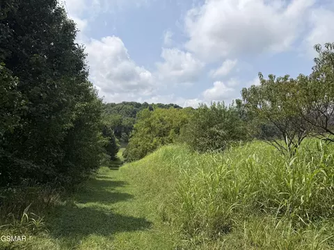 245 Cherokee Explosive Rd, Rutledge, TN 37861 photo 17