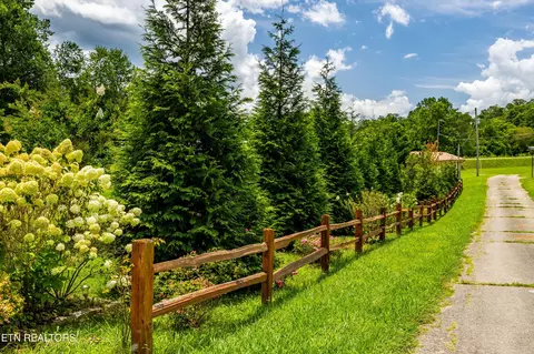 358 Webb Rd, Townsend, TN 37882 photo 45