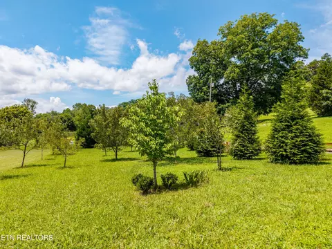 358 Webb Rd, Townsend, TN 37882 photo 53