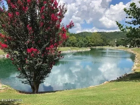 449 Mountain Thrush Dr, Townsend, TN 37882 photo 39