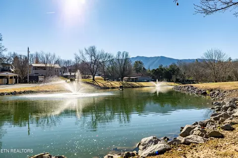449 Mountain Thrush Dr, Townsend, TN 37882 photo 36