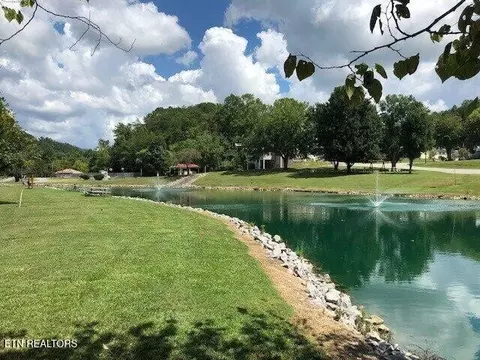 449 Mountain Thrush Dr, Townsend, TN 37882 photo 40