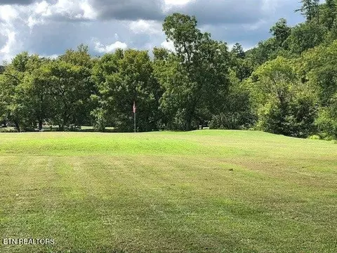 449 Mountain Thrush Dr, Townsend, TN 37882 photo 38