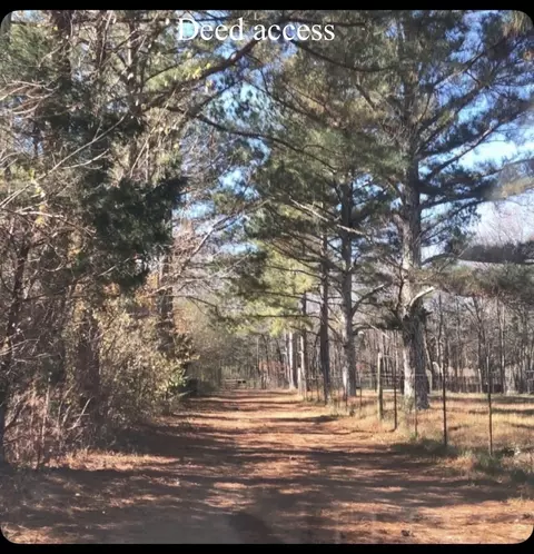 1596 Wilburn Phillips Rd, Lewisburg, TN 37091