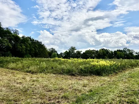 Other - 160 Backside Beaverdam Rd, Centerville, TN 37033 photo 23 of 25
