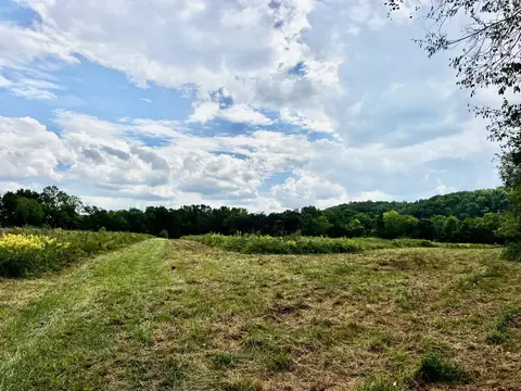 Other - 160 Backside Beaverdam Rd, Centerville, TN 37033 photo 22 of 25