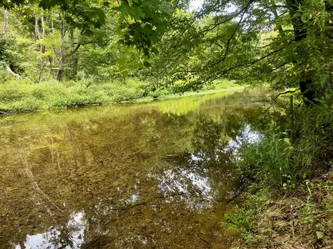 View/Area - 160 Backside Beaverdam Rd, Centerville, TN 37033 photo 15 of 15