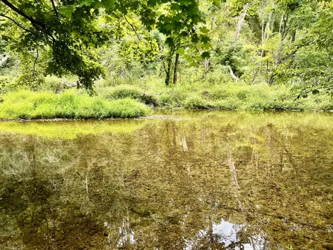 Other - 160 Backside Beaverdam Rd, Centerville, TN 37033 photo 25 of 25