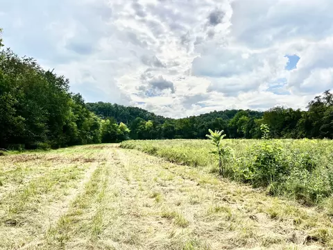 Other - 160 Backside Beaverdam Rd, Centerville, TN 37033 photo 24 of 25
