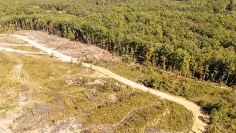 0 Greenleaf Loop, Savannah, TN 38372 photo 9