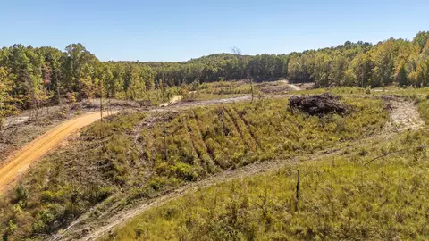 0 Greenleaf Loop, Savannah, TN 38372 photo 24