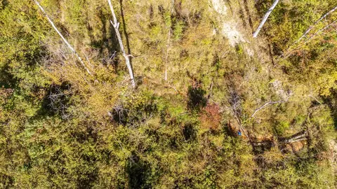 0 Greenleaf Loop, Savannah, TN 38372 photo 20