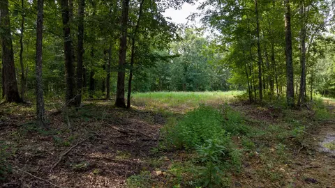 0 Highway 230, Waverly, TN 37185