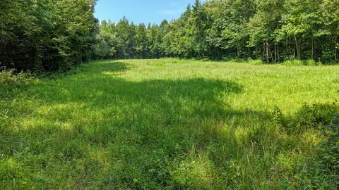 0 Eighteen Loop, Toone, TN 38381 photo 12