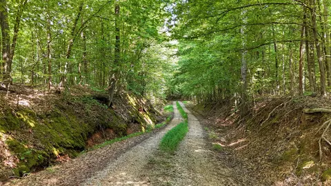 0 Eighteen Loop, Toone, TN 38381 photo 14