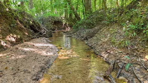 0 Eighteen Loop, Toone, TN 38381 photo 10