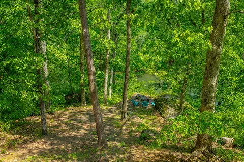 145 River Bend Dr, Ocoee, TN 37361 photo 36