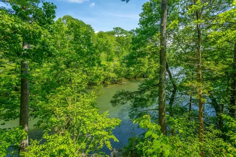 145 River Bend Dr, Ocoee, TN 37361 photo 39