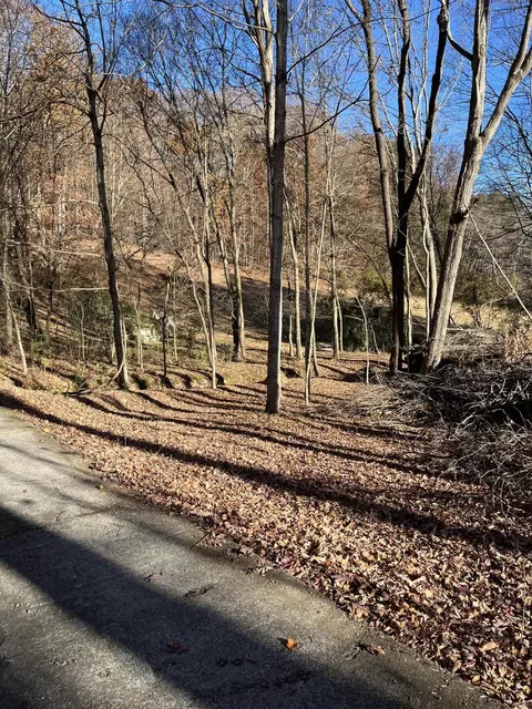 224 Pattie Gap Rd, Philadelphia, TN 37846