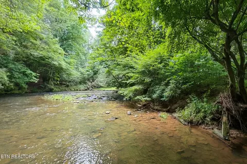 View/Area - 39 Stonecipher Ct, Sunbright, TN 37872 photo 3 of 4
