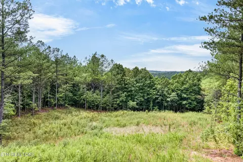 Other - 39 Stonecipher Ct, Sunbright, TN 37872 photo 12 of 16