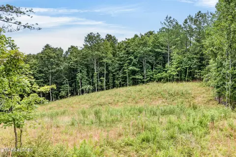 Other - 39 Stonecipher Ct, Sunbright, TN 37872 photo 13 of 16
