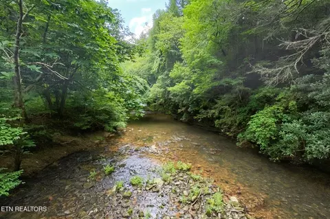 Other - 39 Stonecipher Ct, Sunbright, TN 37872 photo 5 of 16
