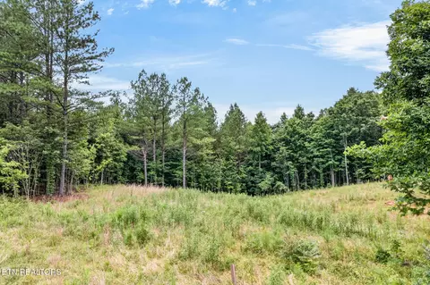 Other - 39 Stonecipher Ct, Sunbright, TN 37872 photo 14 of 16